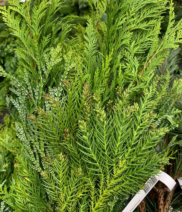 Hold dig ajour med dagens opdateringer fra Brønderslev