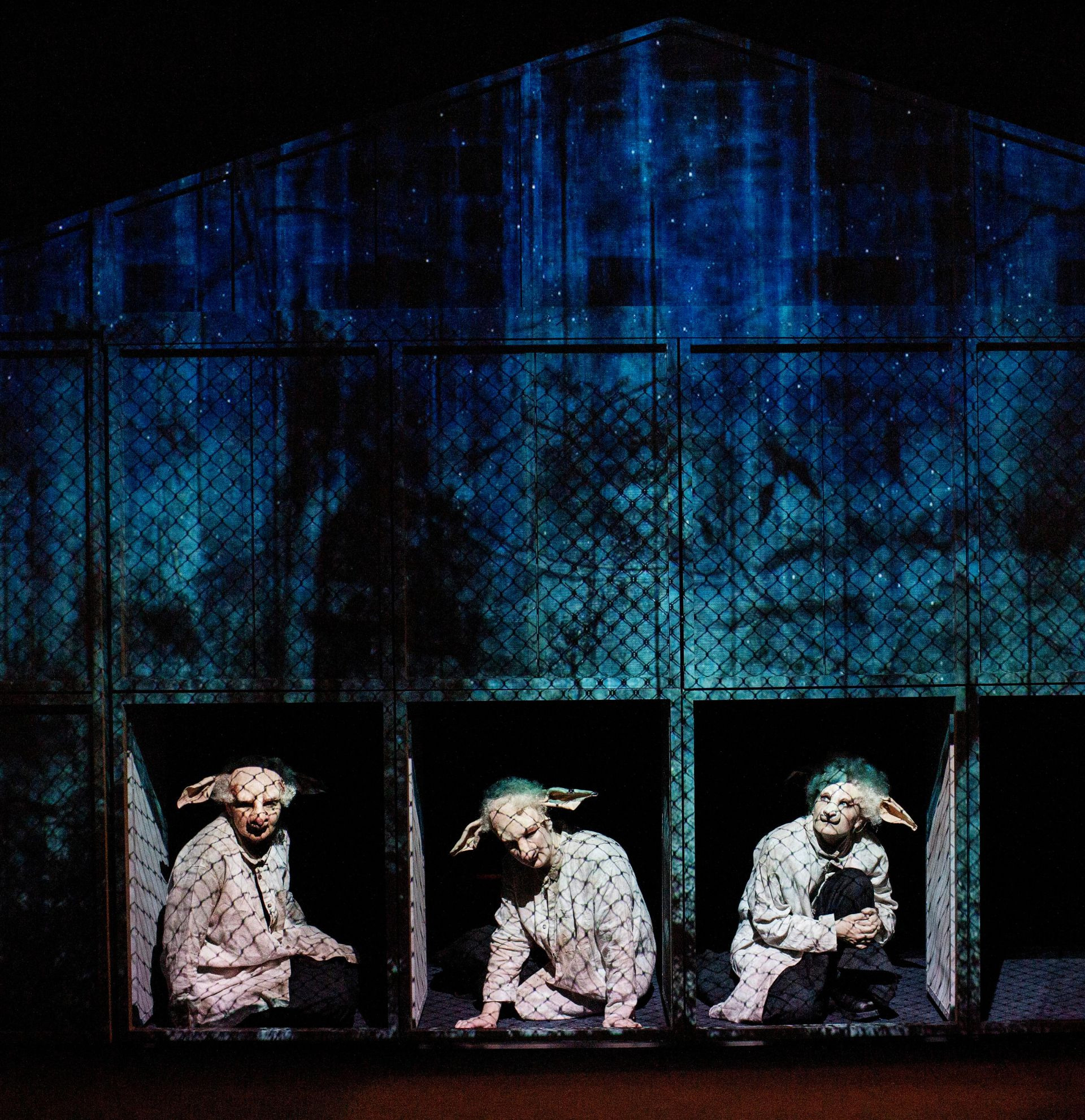 Kulturel aften i Musikhuset Aarhus: Tre arrangementer på samme dag