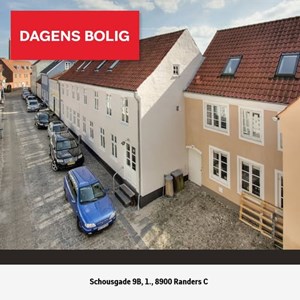 Opslagsbillede