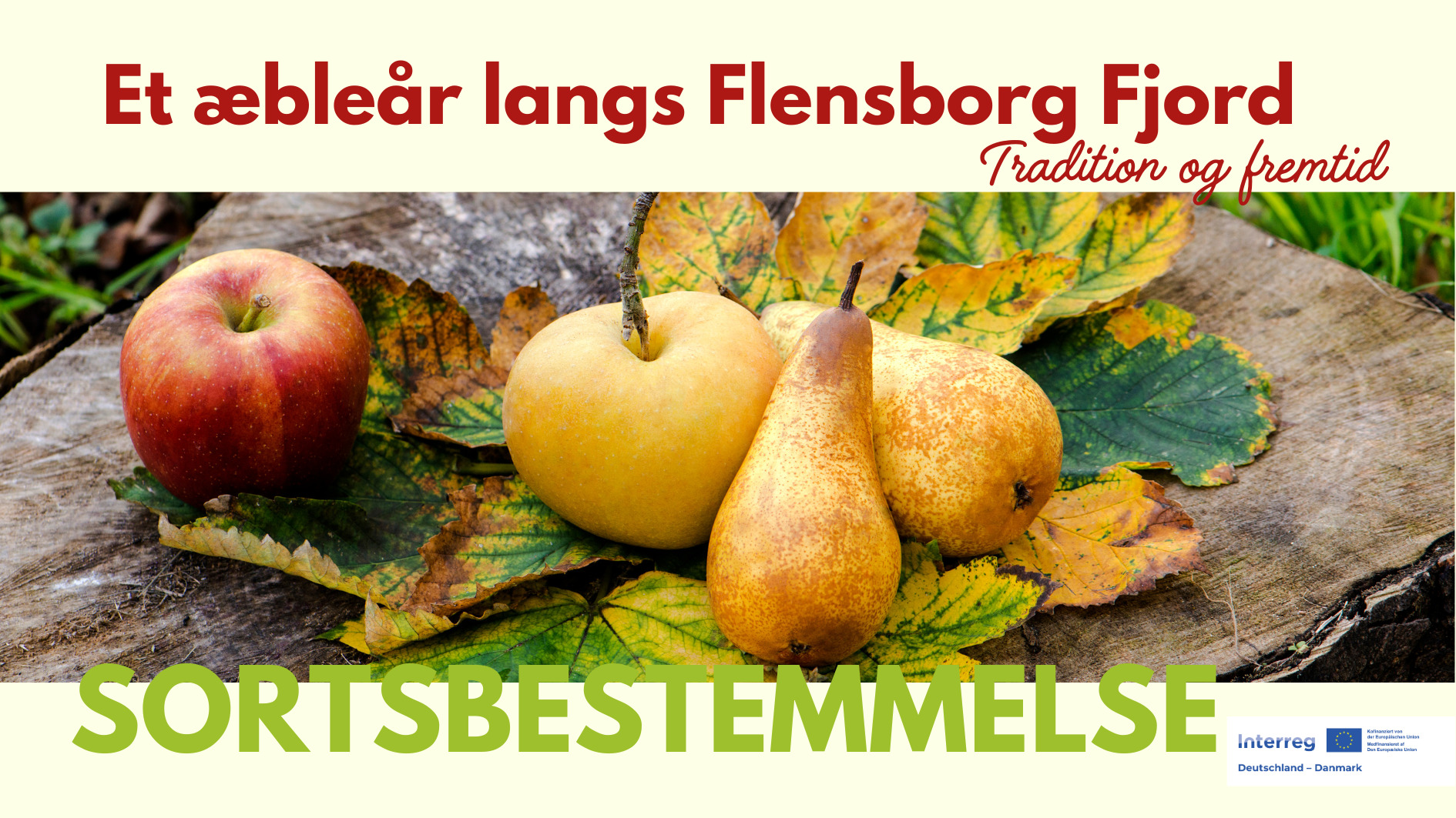 Lær at sortsbestemme æbler og pærer i Kruså