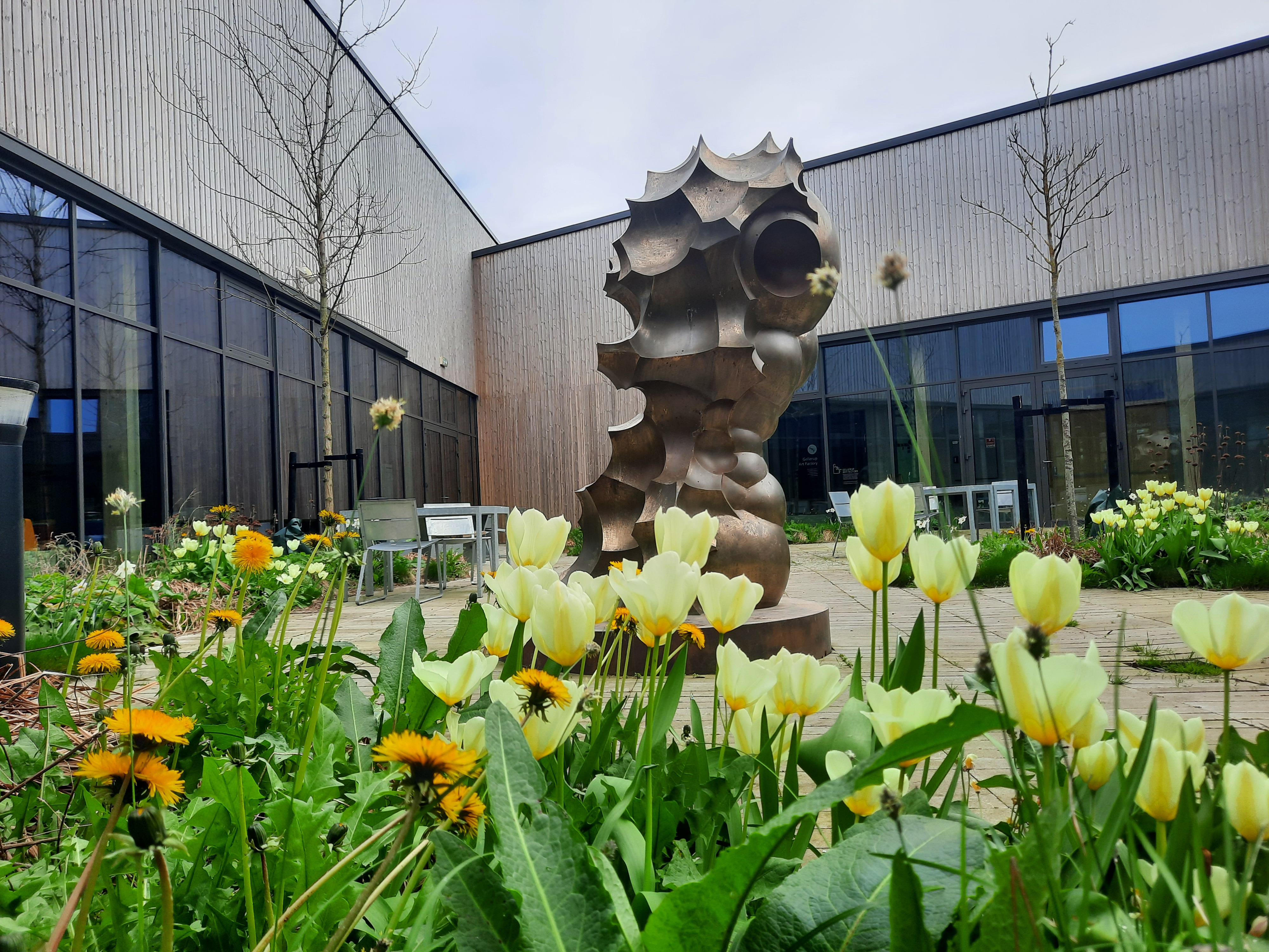 Fællesskab og frøplantning på Fredspladsen