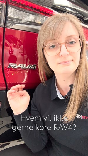 opslagsbillede