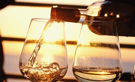 Vin og tapas på Vedersø Klit Camping