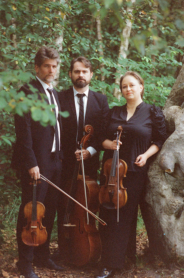 Digital vejledning og klassisk musik på Herning Bibliotekerne
