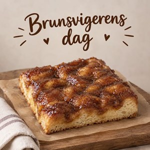 Opslagsbillede