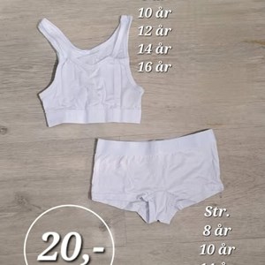 Opslagsbillede