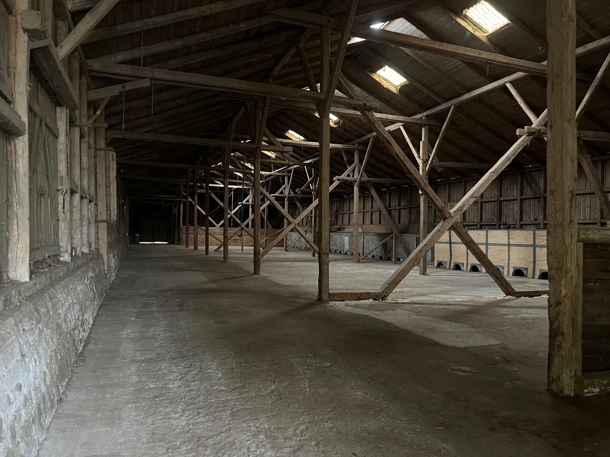 Oplev Ingemanns gys i Bisgaard Forte