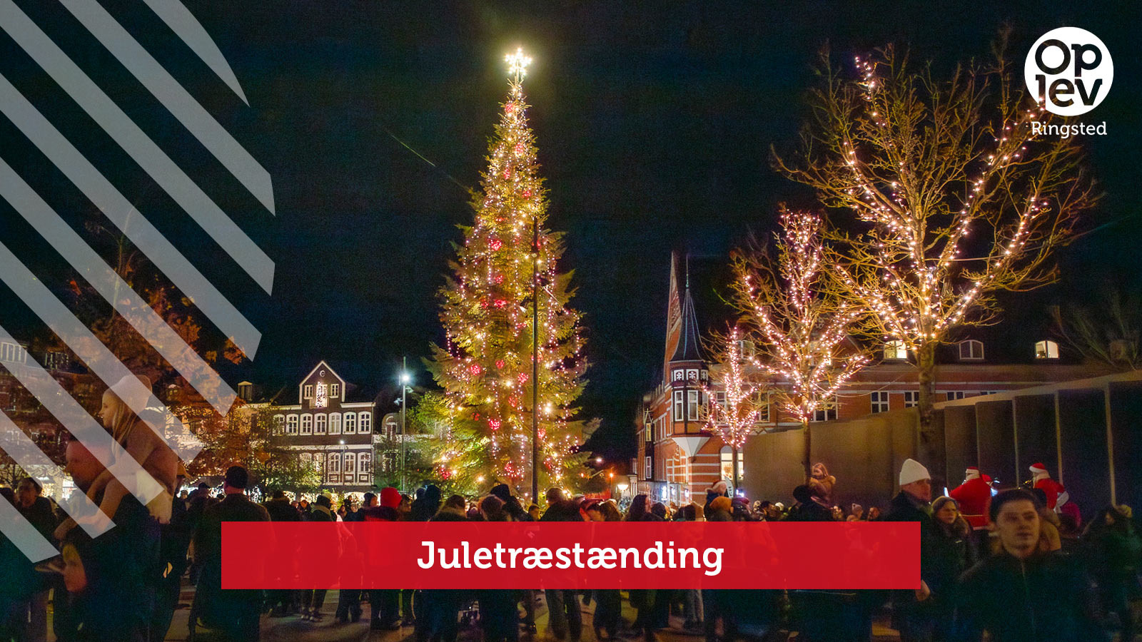 Julen starter på Ringsted Torv med juletræstænding