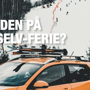 Opslagsbillede