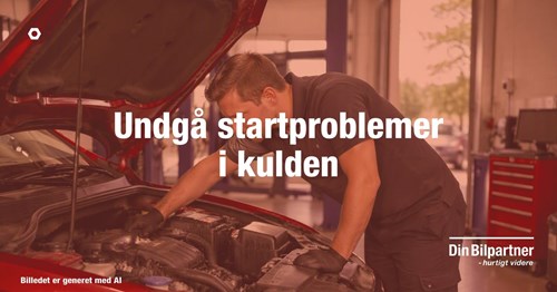 Opslagsbillede