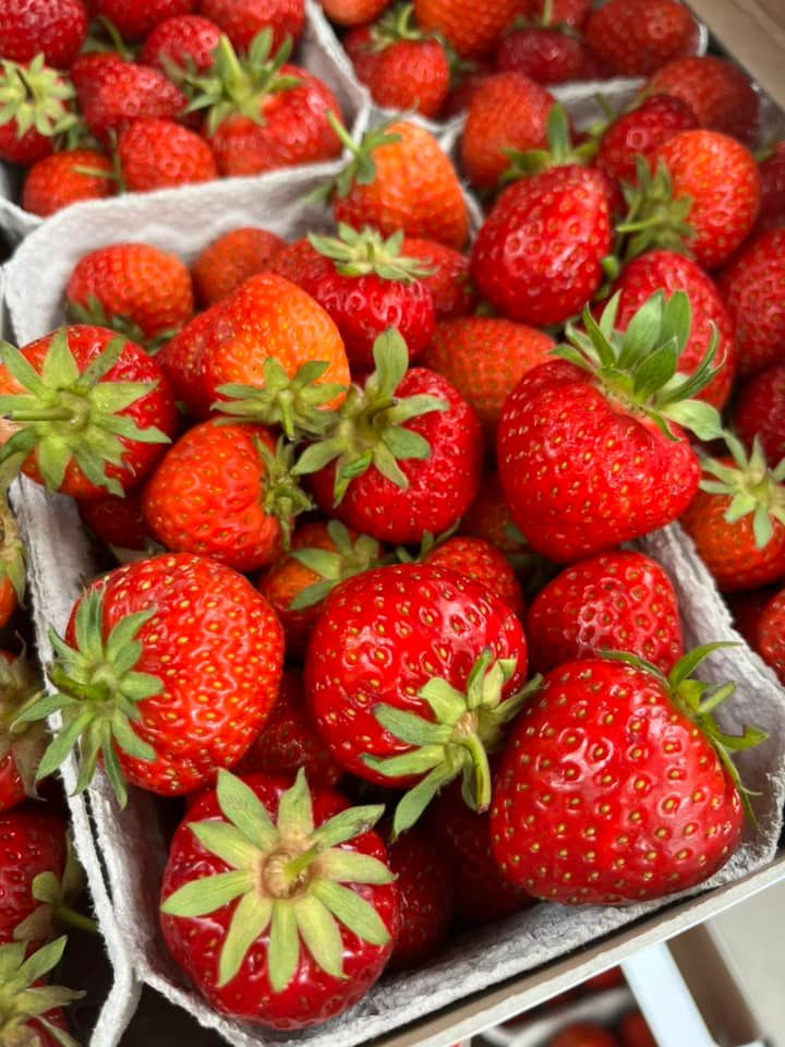 En finger på pulsen i Odder