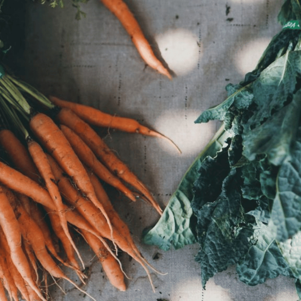 Filosofisk foredrag om supermarkedets rolle i vores liv