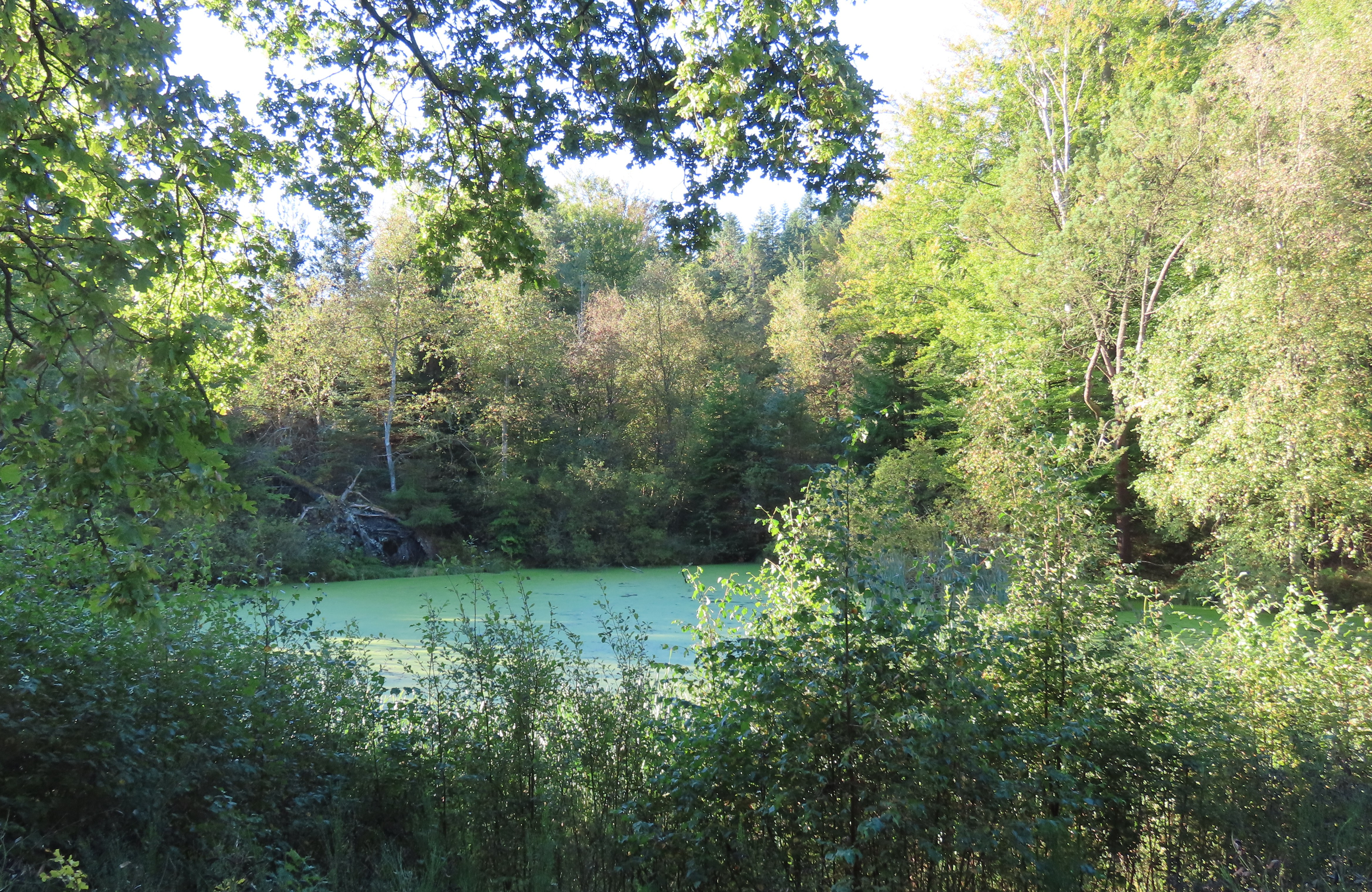 Fiskeri og naturpleje ved Brinkhus i Sindal