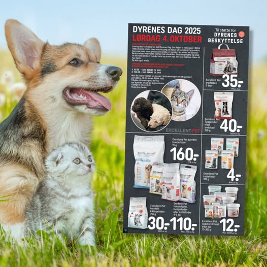 Rema 1000 Sindal støtter Dyrenes Beskyttelse ved køb af Excellent Pet-produkter
