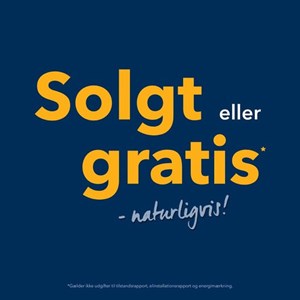 Opslagsbillede
