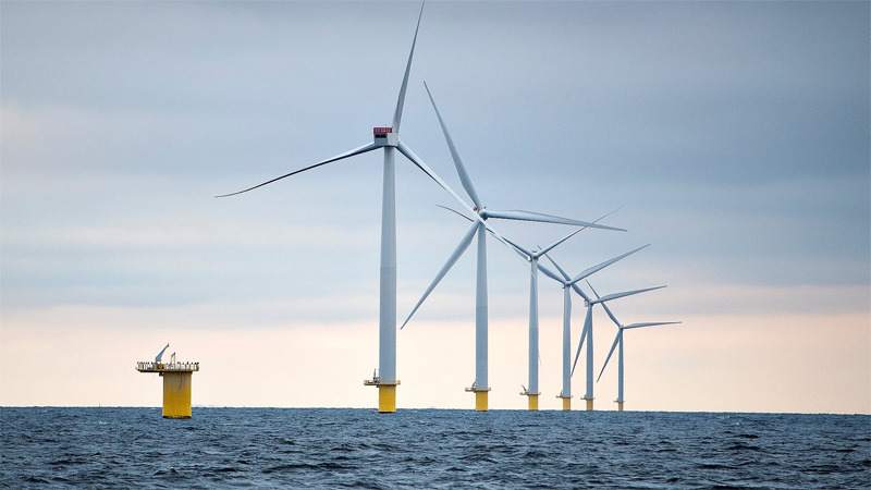 Foredrag om havnaturens udfordringer på Holbæk Museum