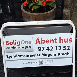 Opslagsbillede