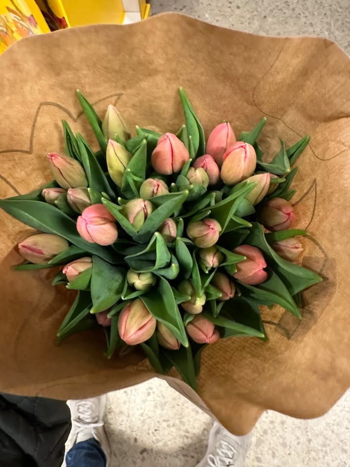 Meny Gl. Skagensvej tilbyder sprøde tulipaner til særlig pris i dag