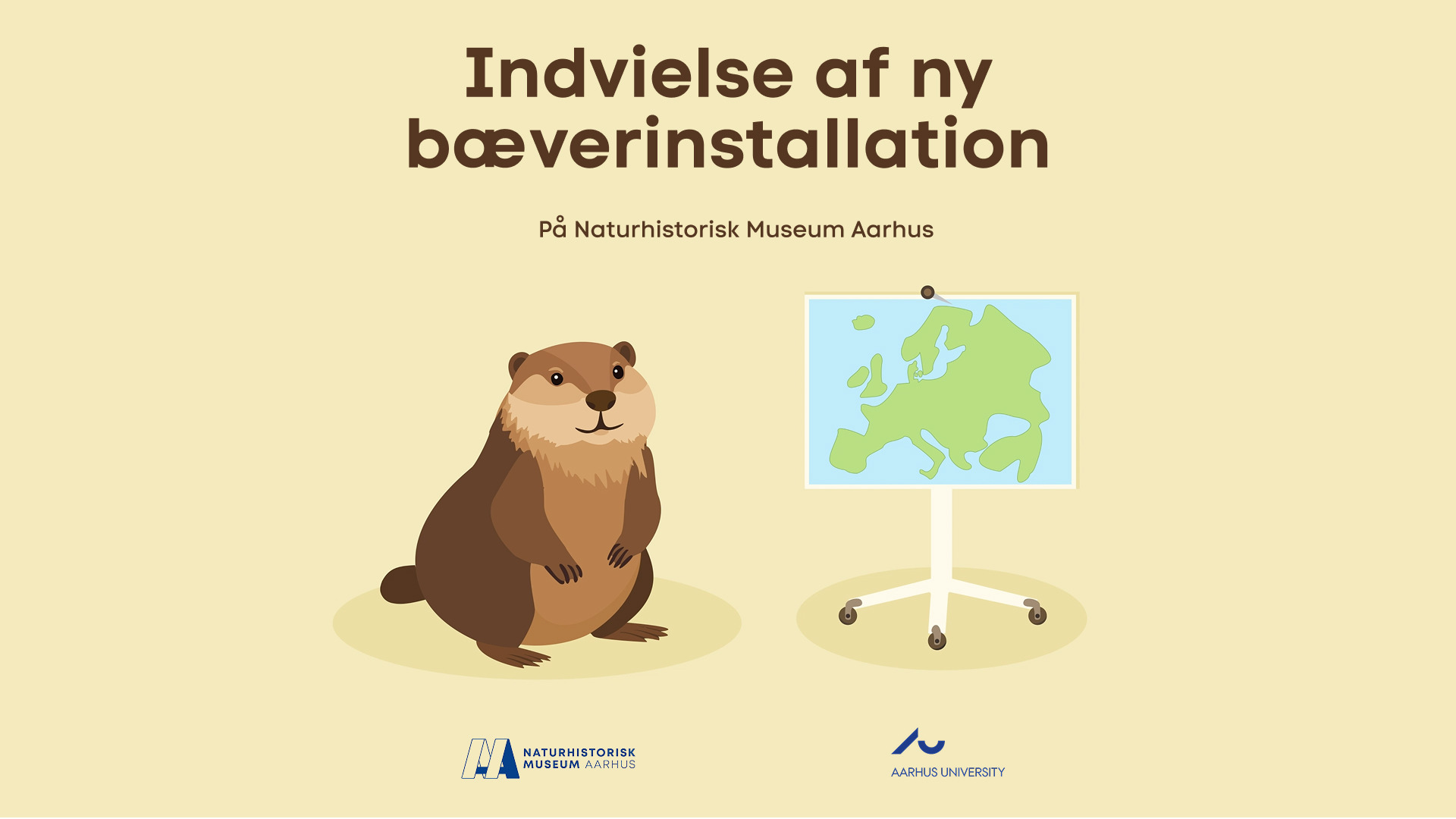 Ny bæverinstallation på Naturhistorisk Museum i Aarhus