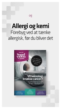 Opslagsbillede