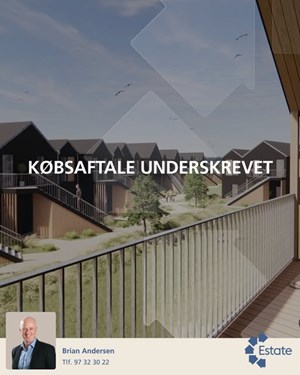 opslagsbillede