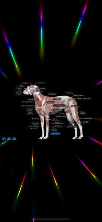 Hold dig ajour med dagens opdateringer fra Sæby