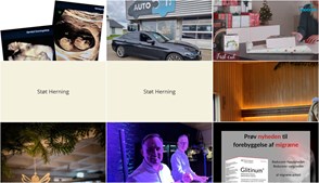 Nyt fra Museerne i Holstebro, AutoFit A/S, Dolphin Hotel Herning og 4 andre