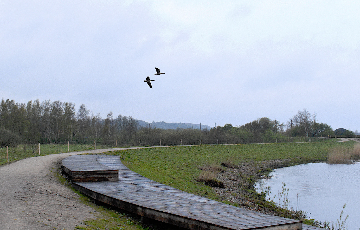 Vandmiljø Randers inviterer til konkurrence om det bedste Storkeengen-foto
