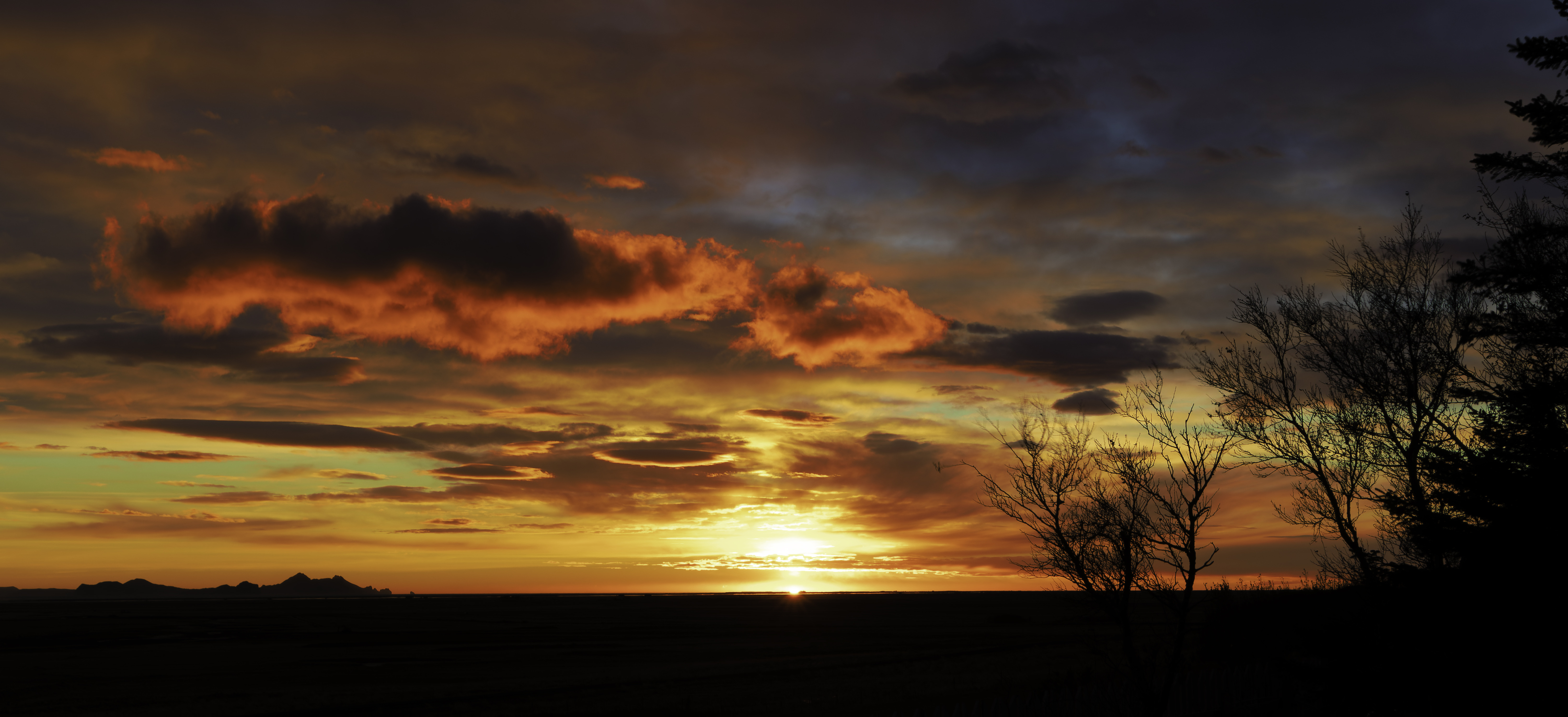 Dans og litteratur på Vordingborg Bibliotekerne