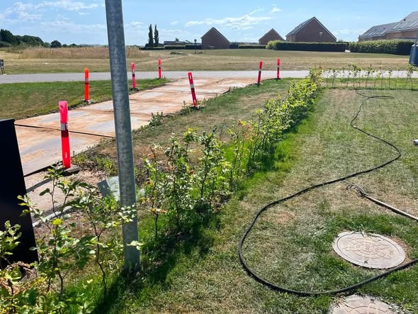 BP Green Garden hjælper med hækklipning, beskæring og havearbejde