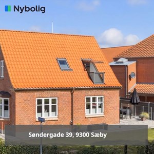 Opslagsbillede