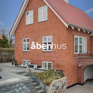 Opslagsbillede