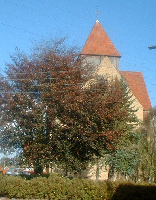 Tag med på skovvandring med Mariehøj Kirke