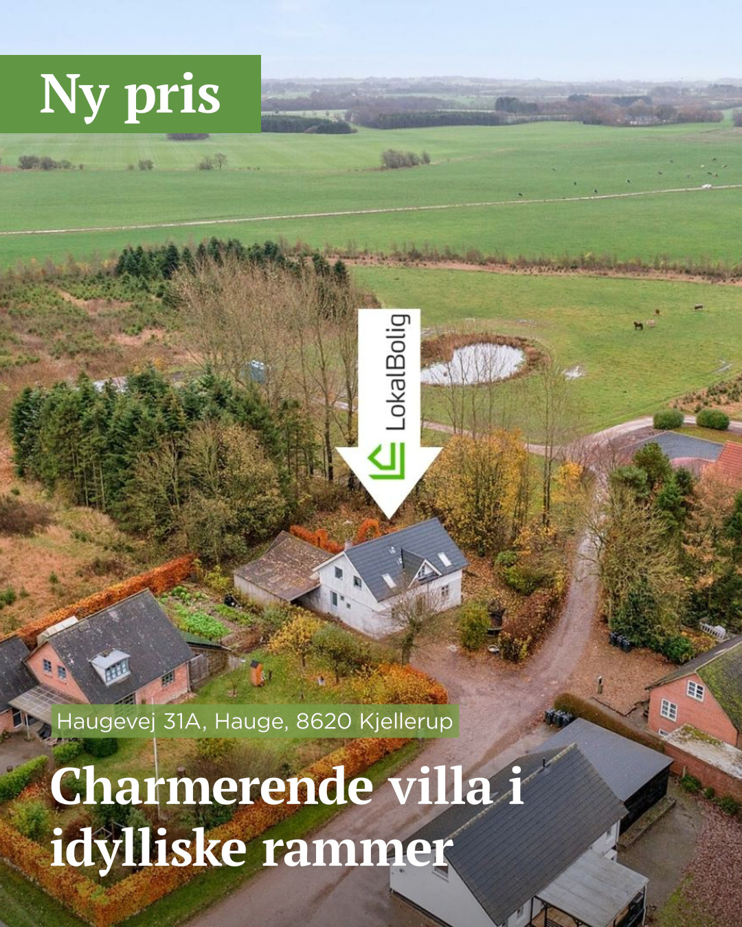 En finger på pulsen i Silkeborg