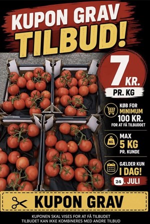 opslagsbillede