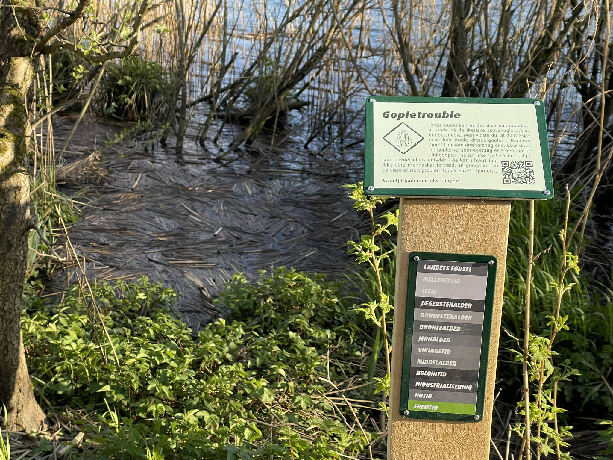 Ungdommens sti ved Gudenåen