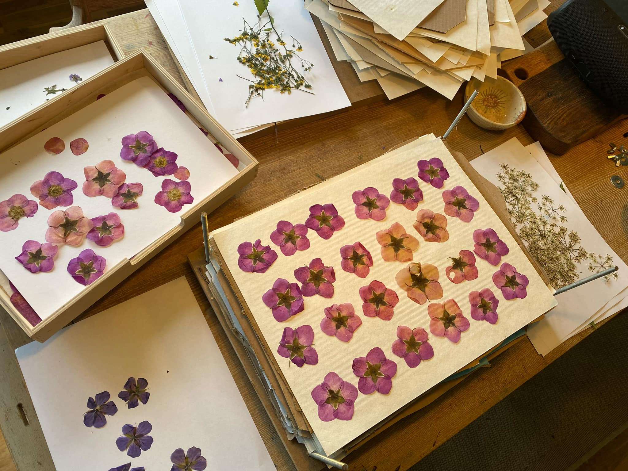 Oplev naturens skatte med kreative workshops i Hvalsø