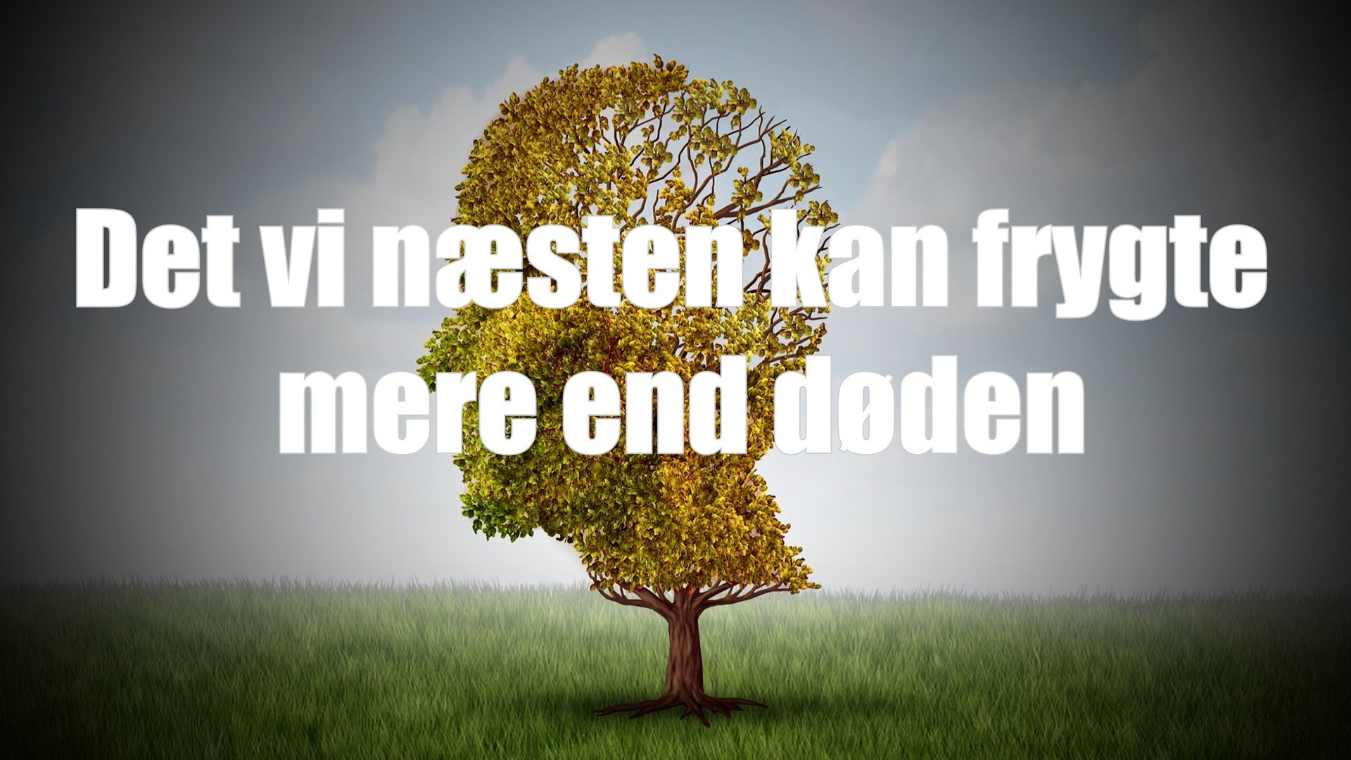 Nyt på opslagstavlen i Risskov