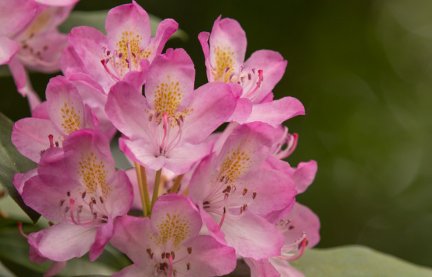 Oplev din kommune: 3 fede oplevelser tæt på dig