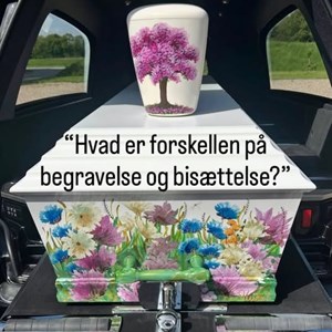 Opslagsbillede