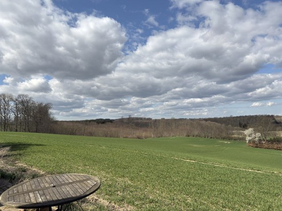 Ellestedvej 13 er til salg for kun 325.000 kr.: Se de billigste boliger til salg i Ørbæk her