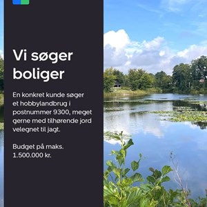 Opslagsbillede