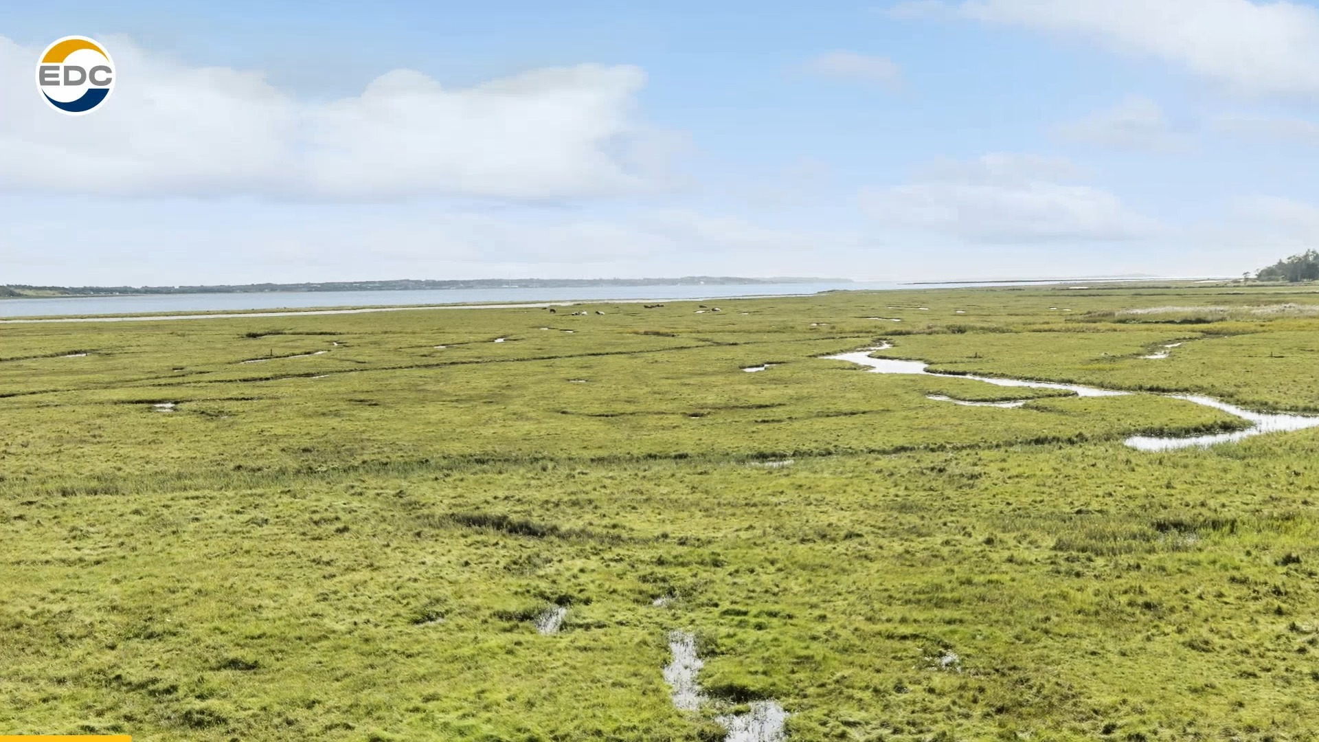 Unik mulighed hos EDC Fjerritslev: Skab din drømmebolig eller erhverv i Aggersund