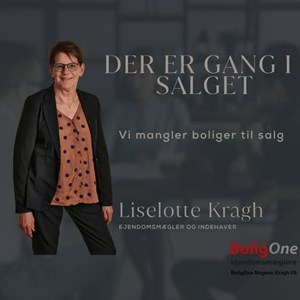 Opslagsbillede