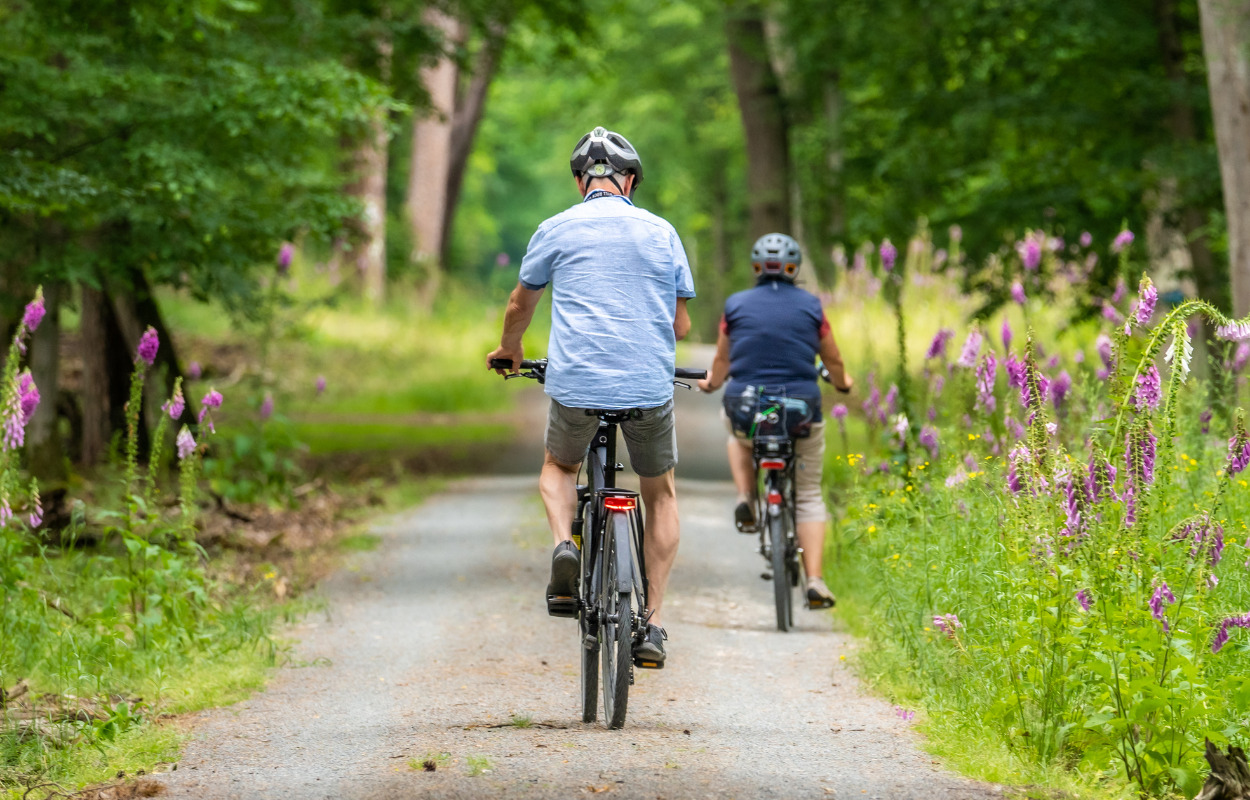 Vejle er Elcyklisternes Drømmekommune 2024