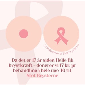 Opslagsbillede