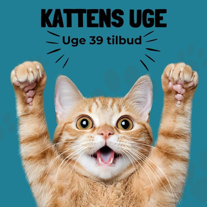 Brunder Dyrehospital ApS tilbyder ekstraordinært lave priser på neutralisering af katte i uge 39