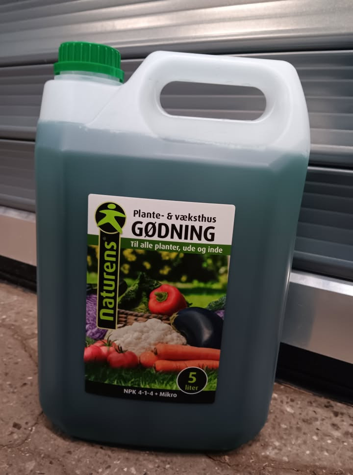 Løvbjerg Frederikshavn tilbyder grovæske til forårets udplantning til specialpris