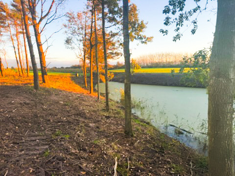 Skovbygaard A/S fremmer biodiversitet med multifunktionel gravemaskine