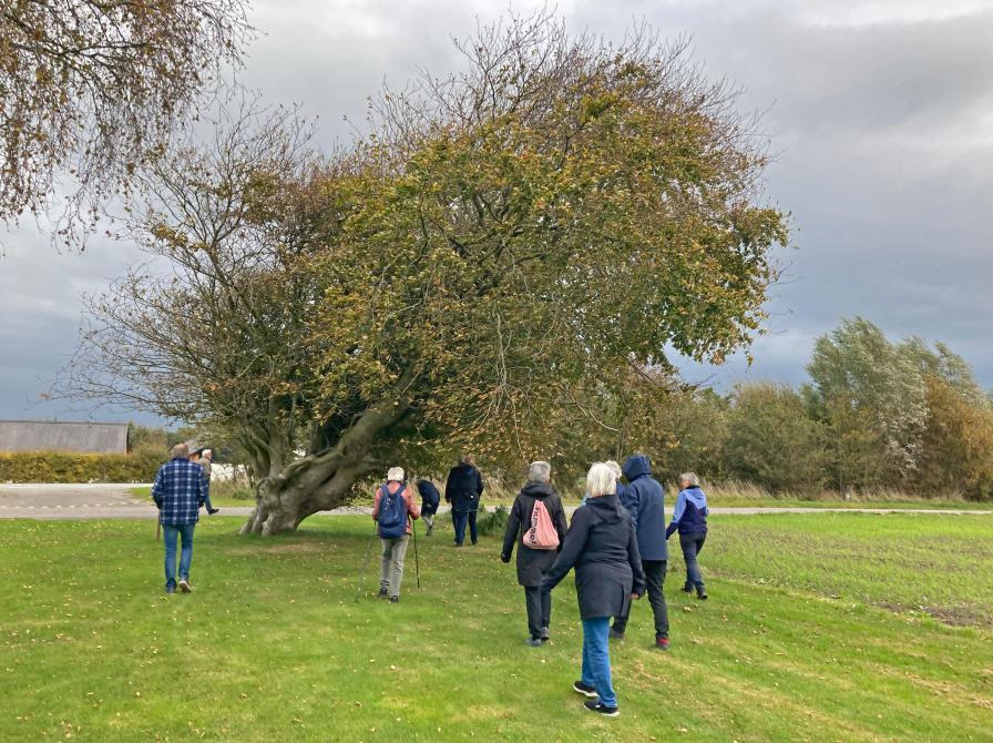 Efterårsinspiration og kreativ origami på Vrå Bibliotek